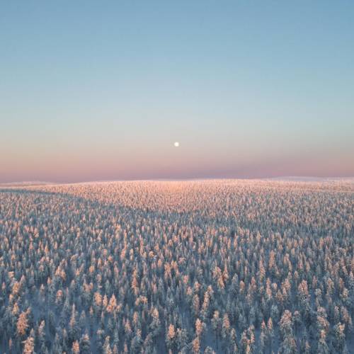 MUSE Photography Awards Gold Winner - Pink sunset | Finnish Lapland by Luuk Gevers