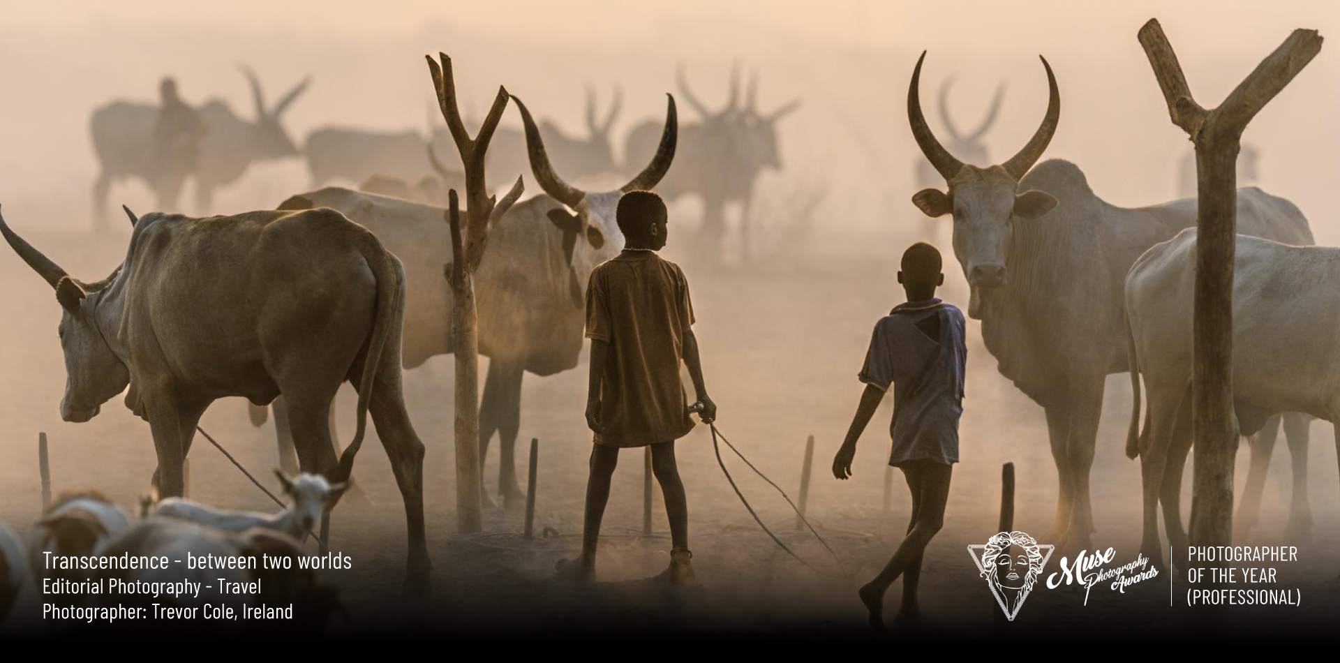 2026 MUSE Photography of the Year (Professional) - Transcendence - between two worlds by Trevor Cole