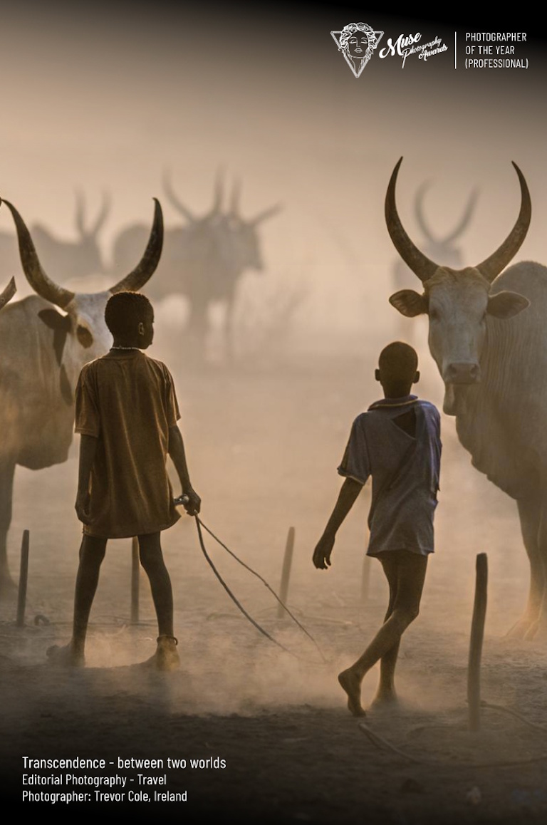 2026 MUSE Photography of the Year (Professional) - Transcendence - between two worlds by Trevor Cole