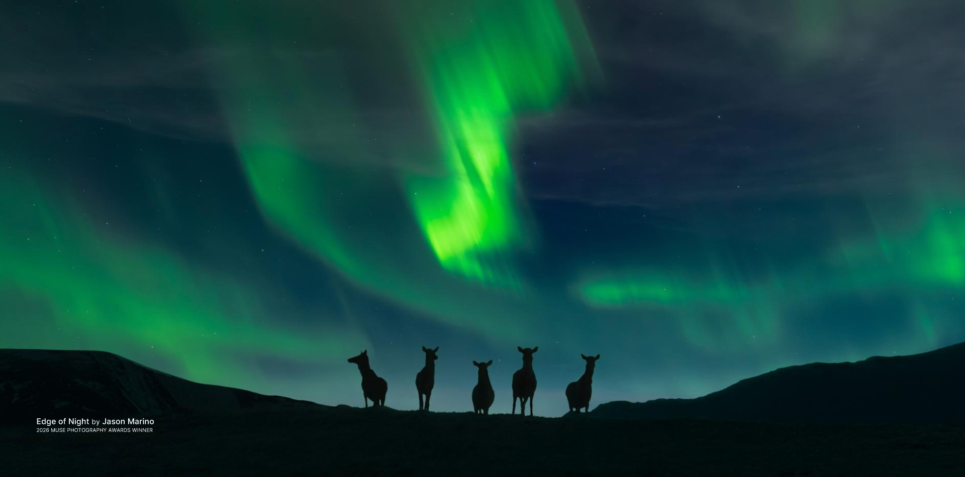 2026 MUSE Photographer Awards - Nature Photography Winner (Professional) - Edge of Night by Jason Marino Photography