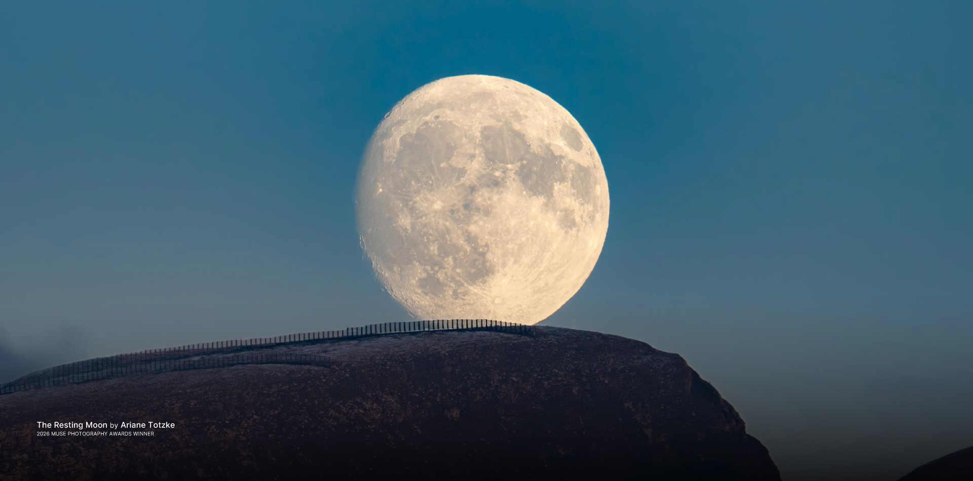 2026 MUSE Photographer Awards - Fine Art Photography Winner (Professional) - The Resting Moon by Ariane Totzke