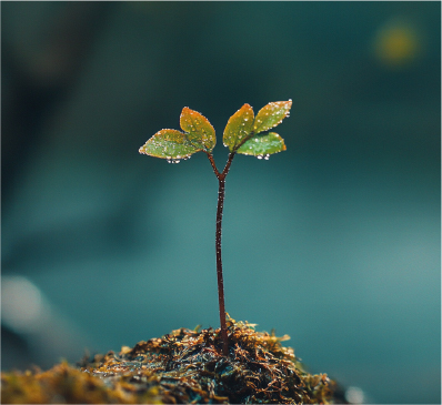 MUSE Photography Awards 2026 - Minimalist Photography