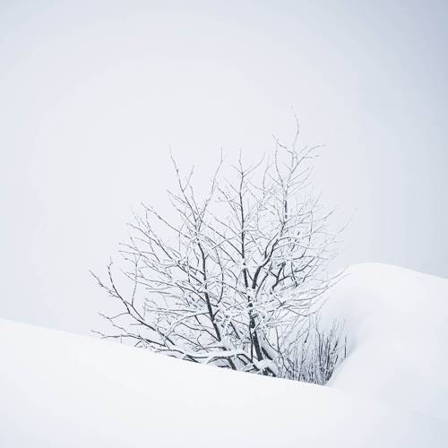 MUSE Photography Awards Silver Winner - Silence #02 by Paul CHRISTENER