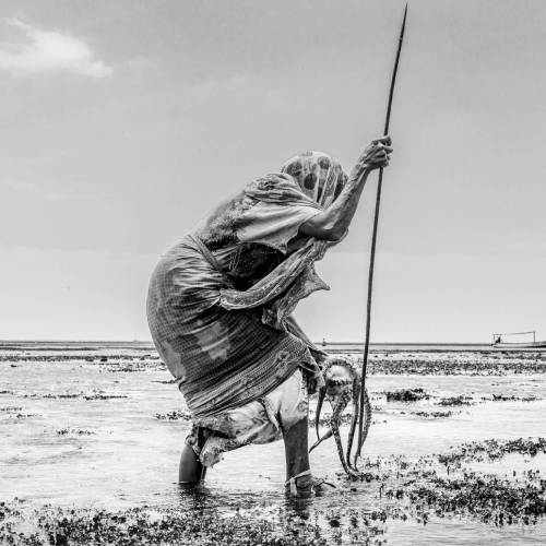 MUSE Photography Awards Category Winners of the Year Winner - The Octopus Hunters  by Eduardo Moreno