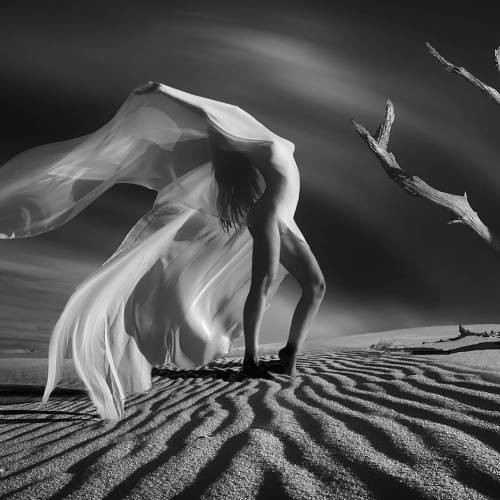 MUSE Photography Awards Platinum Winner - The wind by Paolo Lazzarotti