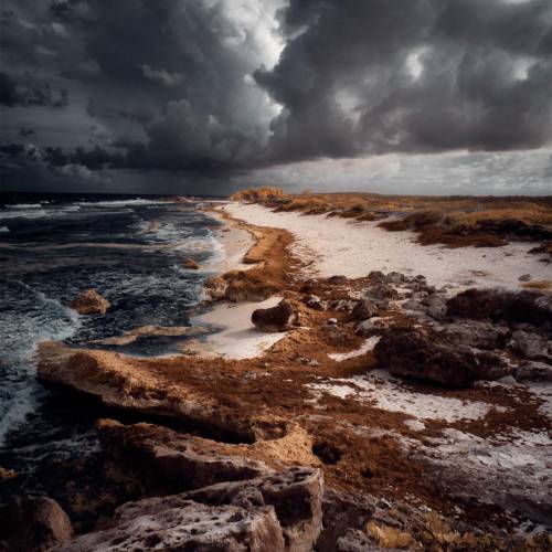 MUSE Photography Awards Silver Winner - A Golden Storm  by Florent Serfati 