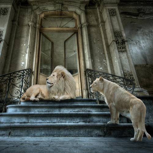 MUSE Photography Awards Gold Winner - MARVELS by Cheraine Collette