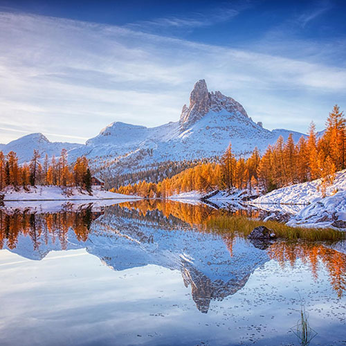 MUSE Photography Awards Platinum Winner - glowing larchs by Judith Kuhn
