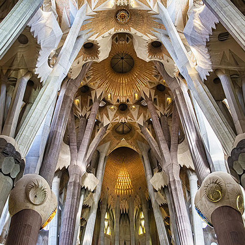 MUSE Photography Awards Platinum Winner - Cathedral, Barcelona by Glenn Goldman