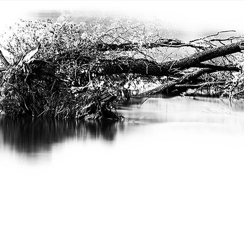Stranded