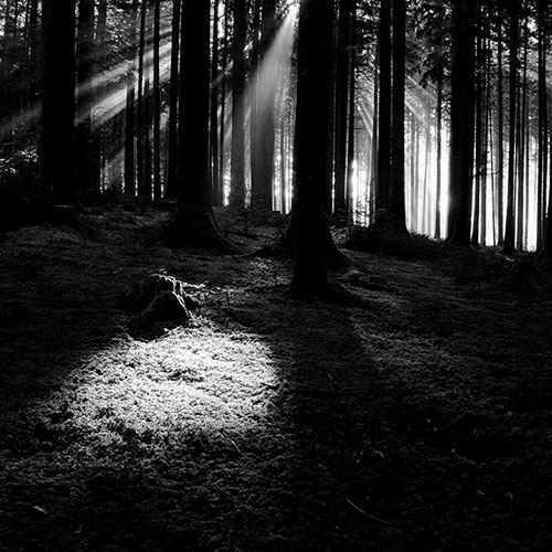 MUSE Photography Awards Silver Winner - The World Is Darkening #10 by Paul Christener