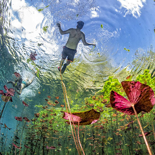 Swimming in the sky - Photography Winner