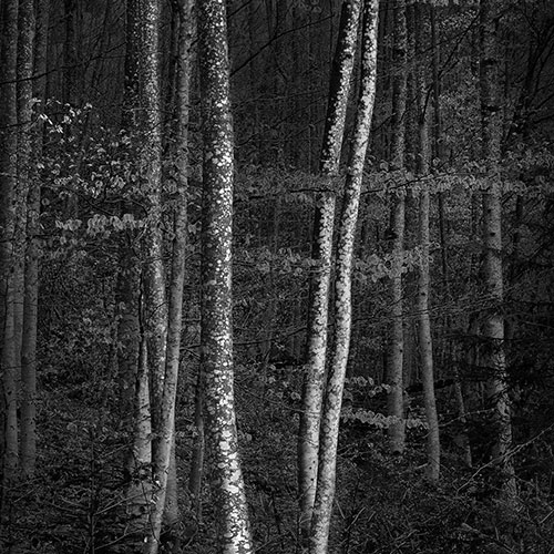 MUSE Photography Awards Silver Winner - Curtiberg by Paolo Sarti