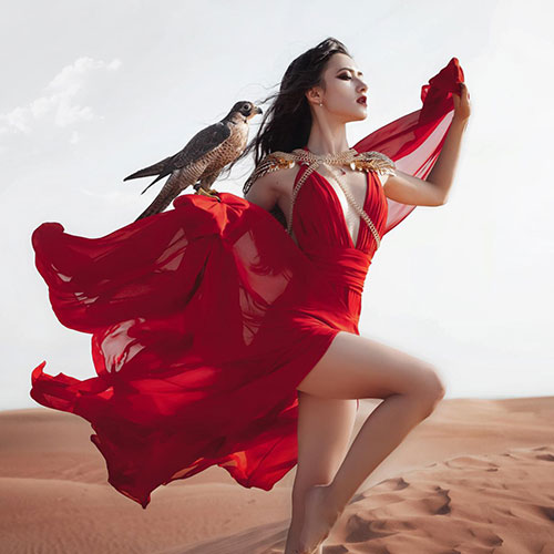 Wind Dancer - Photography Winner