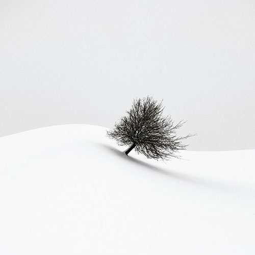 MUSE Photography Awards Silver Winner - white winter by Renate Wasinger