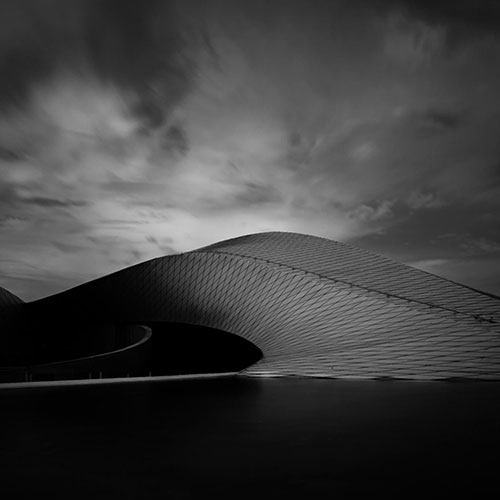 MUSE Photography Awards Silver Winner - The whale by Helge Garke