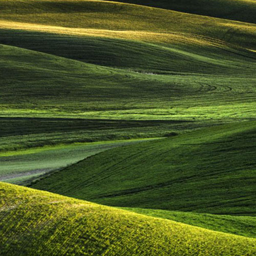MUSE Photography Awards Gold Winner - Overhead in the Palouse by Nathan Myhrvold