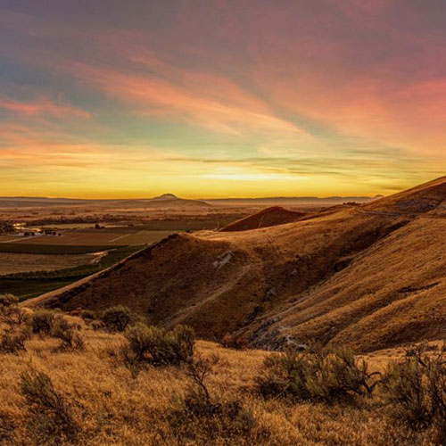 MUSE Photography Awards Gold Winner - Valley Vineyards by Nathan Myhrvold