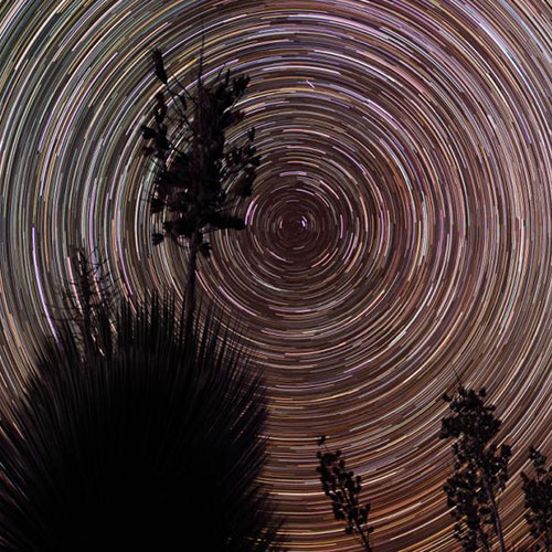 MUSE Photography Awards Silver Winner - Desert Star Trails by Nathan Myhrvold