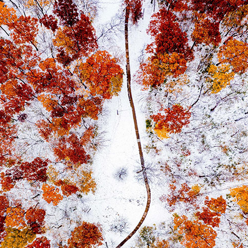 MUSE Photography Awards Gold Winner - Seasons Collision by Omar Ghrayeb