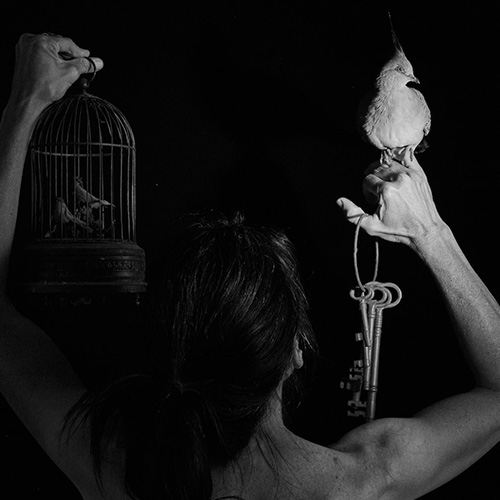 MUSE Photography Awards Silver Winner - Freedom by Tailai OBrien
