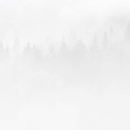MUSE Photography Awards Silver Winner - 348 by Tomasz Kudelski