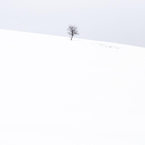 MUSE Photography Awards Silver Winner - 385 by Tomasz Kudelski