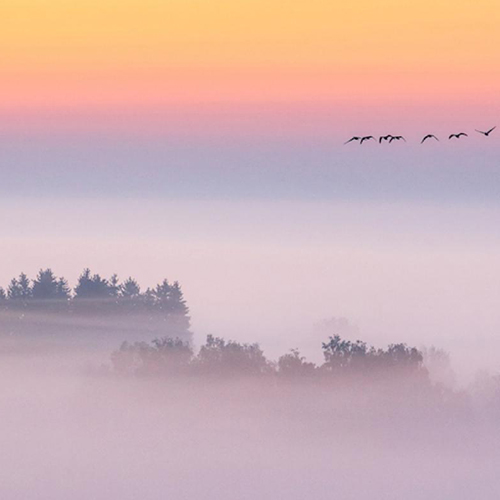 MUSE Photography Awards Silver Winner - autumn morning with bird migration by Judith Kuhn