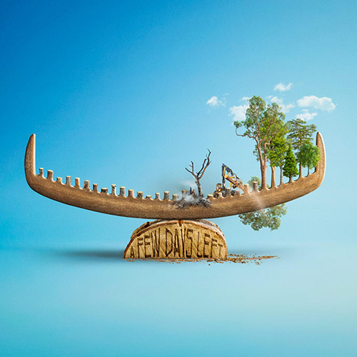 MUSE Photography Awards Gold Winner - Stop Deforestation - Helsinki Foundation by Onni Wiljami