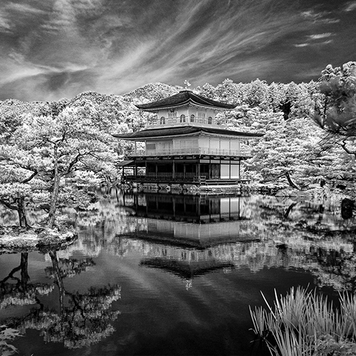 Different  Kinkahu-ji Temple II - Photography Winner