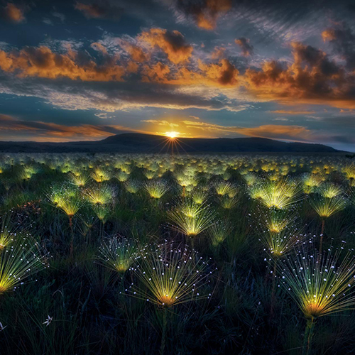 MUSE Photography Awards Platinum Winner - Fireworks by Marcio Esteves Cabral