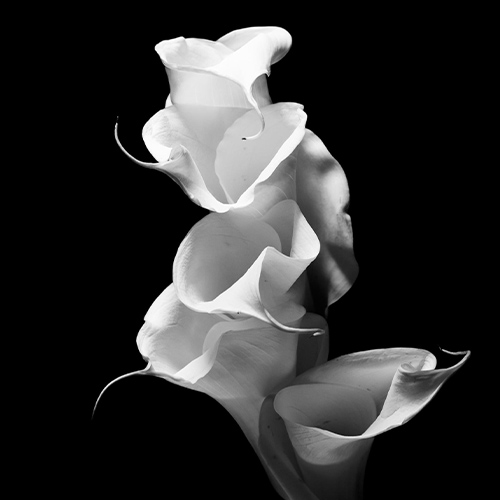 MUSE Photography Awards Silver Winner - Dancing in Light by Mildred Salas