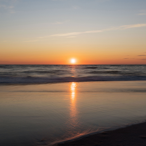 MUSE Photography Awards Silver Winner - Still by Mark Tomalla