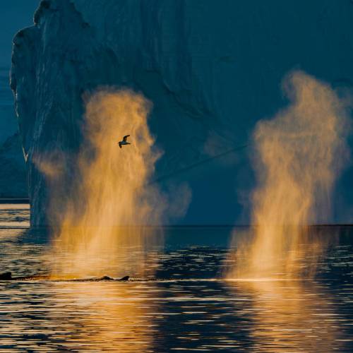 MUSE Photography Awards Platinum Winner - Antarctic Sunset by akiko matsumoto