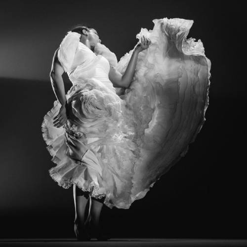 MUSE Photography Awards Silver Winner - Dancing emotions at flamenco rhythm by Valentina Benigni