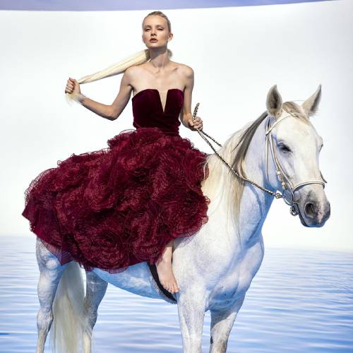 MUSE Photography Awards Silver Winner - Vilena Red Rose Dress by Michael Wylot