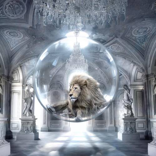 MUSE Photography Awards Silver Winner - Royal Bubble by Cheraine Collette