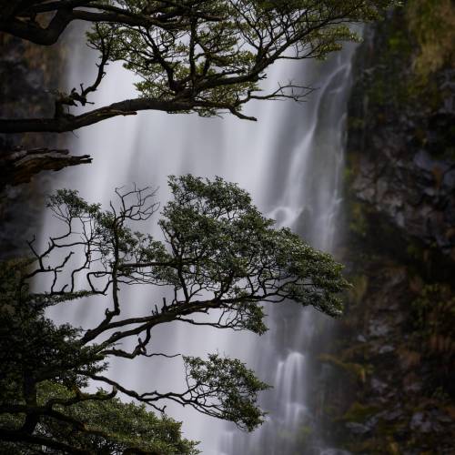 MUSE Photography Awards Gold Winner - Devils Punchbowl Falls by Stephan Romer