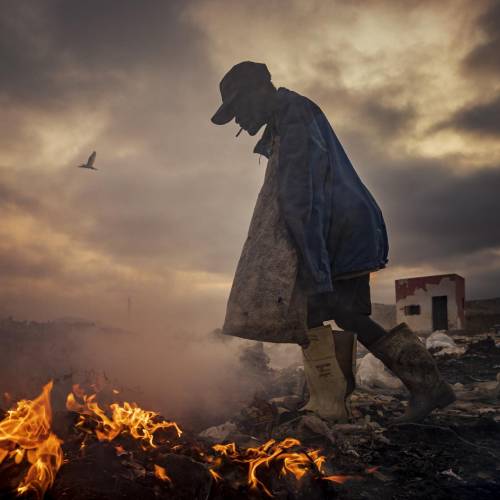 MUSE Photography Awards Photographer of the Year Winner - Scavengers by João Coelho