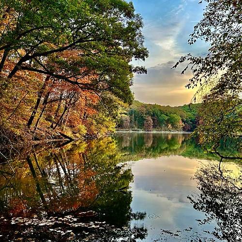 MUSE Photography Awards Silver Winner - Autumn Colors by Pamela Peters