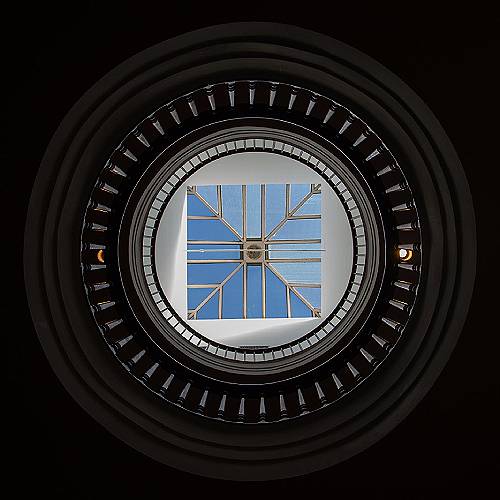 MUSE Photography Awards Gold Winner - Look up by Manuela Haeussler