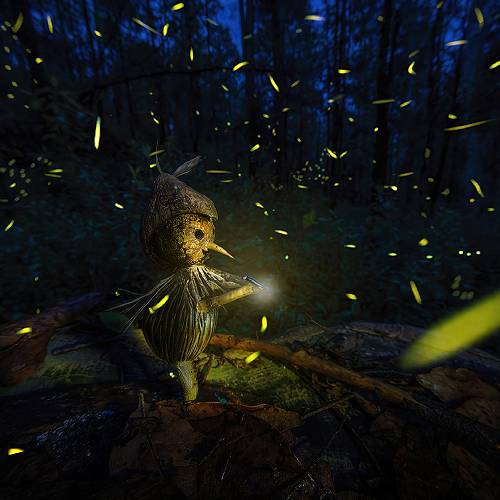 MUSE Photography Awards Platinum Winner - MAGIC REALM by PEPE MANZANILLA