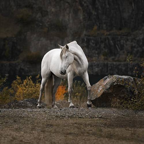 MUSE Photography Awards Gold Winner - Suerte by Theresa Hildebrandt
