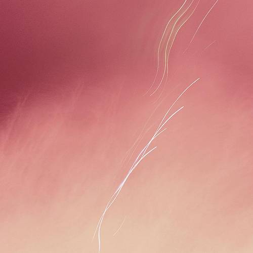 MUSE Photography Awards Silver Winner - Traces of light created by fireworks by Masahiro Nishiura