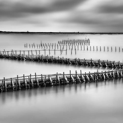 MUSE Photography Awards Silver Winner - z-shaped oyster racks by Weng Li-Chuan