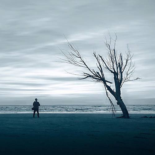 MUSE Photography Awards Gold Winner - Solitude Realm by YA-YING,CHENG