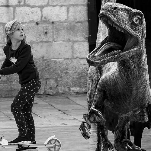 MUSE Photography Awards Silver Winner - Dinosaur by Kylo-Patrick Hart