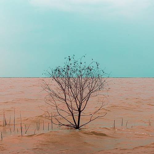 MUSE Photography Awards Silver Winner - Appearance by Wang, Yong