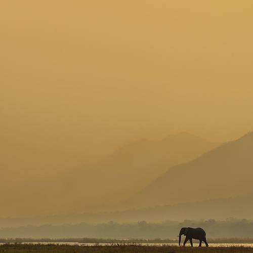 MUSE Photography Awards Silver Winner - Zambezi Sunset by Turgay Uzer
