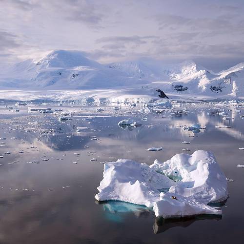 MUSE Photography Awards Platinum Winner - Cold Feeling by Mark Tomalla